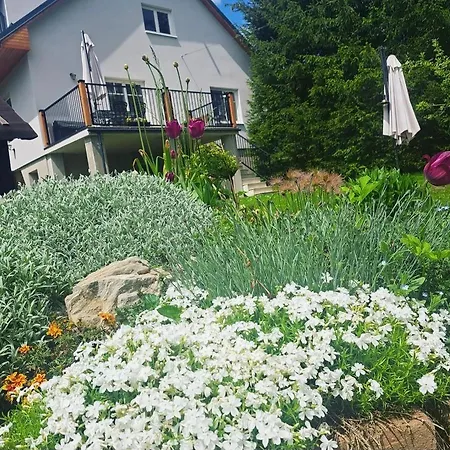 U Nas アパート Čičmany