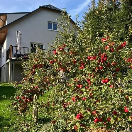 アパート U Nas Čičmany